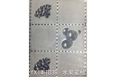 河北YX14-TO38 水果蜜柚